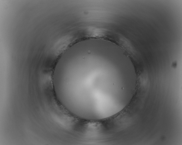 X0000112890415200908281705