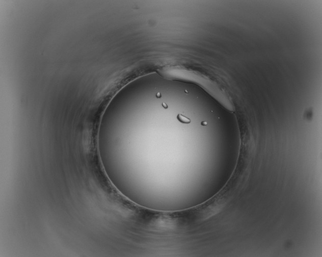 X0000112890416200908281705