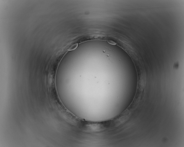 X0000112890417200908281705