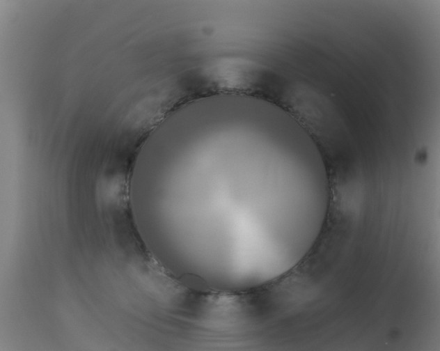 X0000112890419200908281705