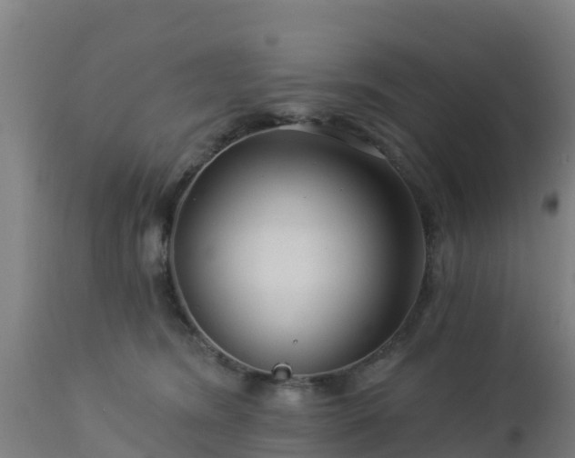 X0000112890420200908281705