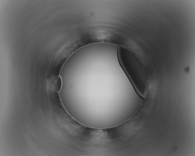 X0000112890421200908281705