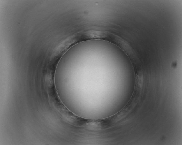 X0000112890422200908281705
