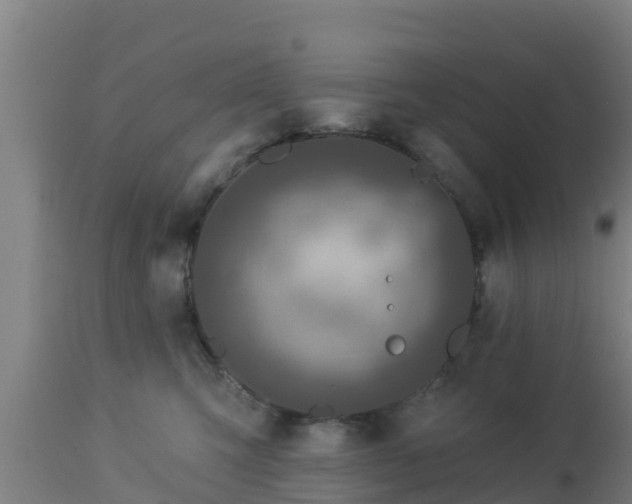 X0000112890423200908281705