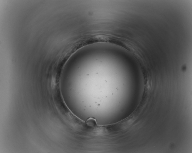 X0000112890424200908281705