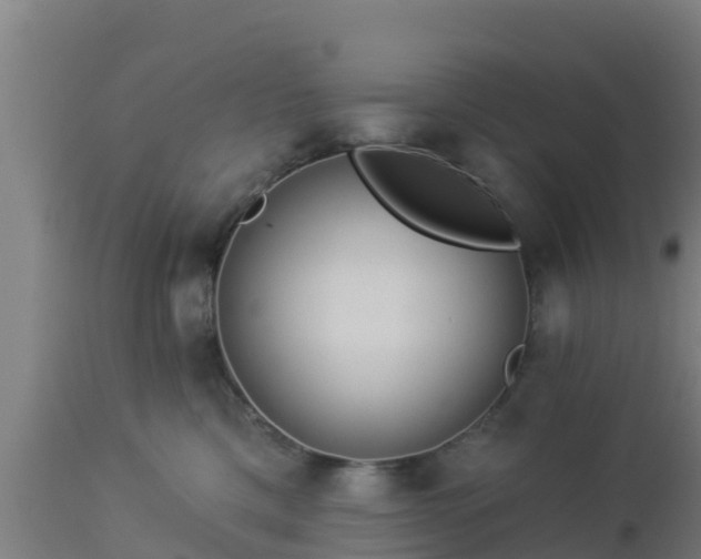 X0000112890425200908281705