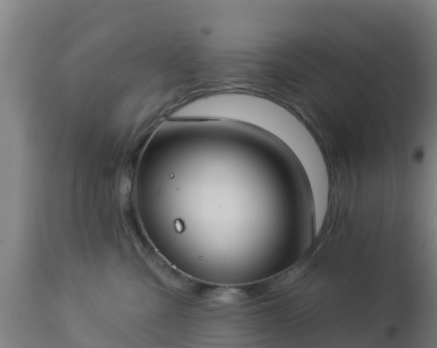 X0000112890427200908281705