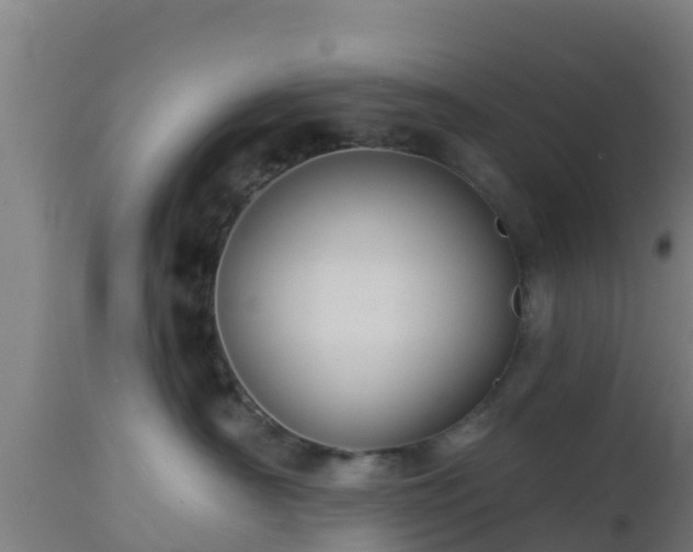 X0000112890430200908281705