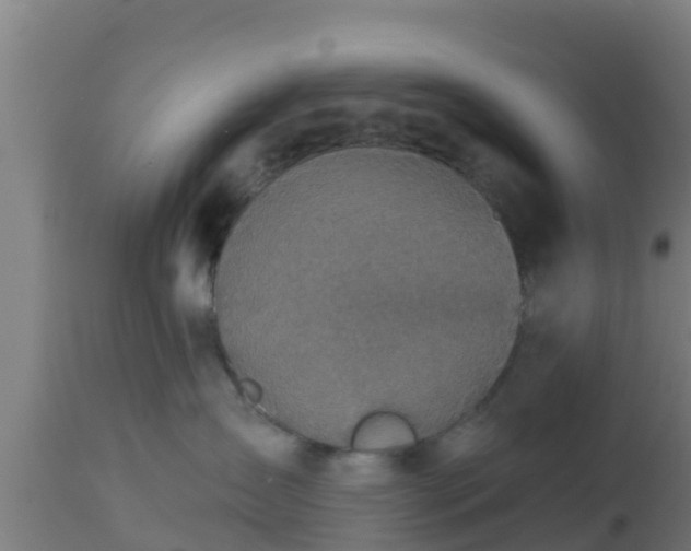 X0000112890431200908281705