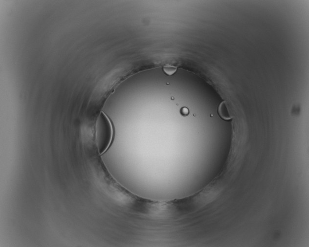 X0000112890432200908281705