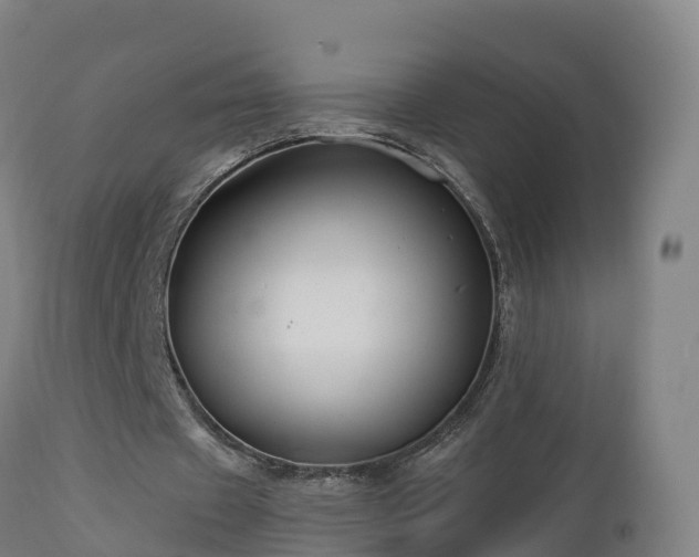 X0000112890433200908281704