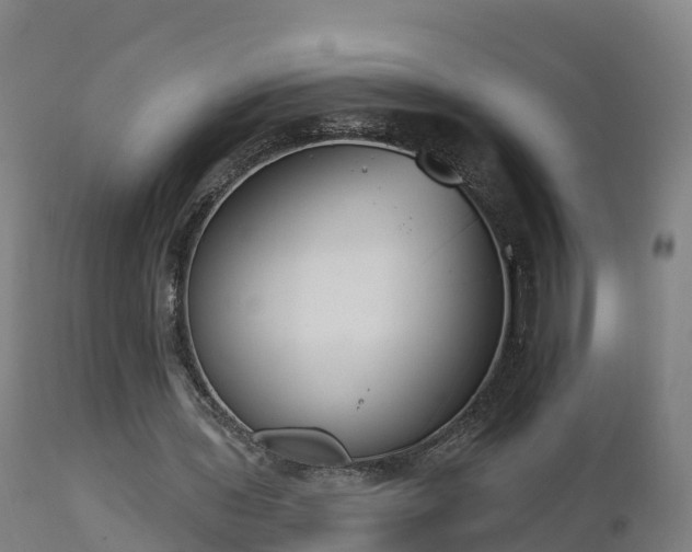 X0000112890435200908281704