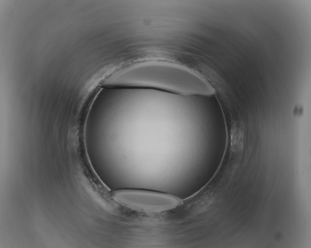 X0000112890436200908281704