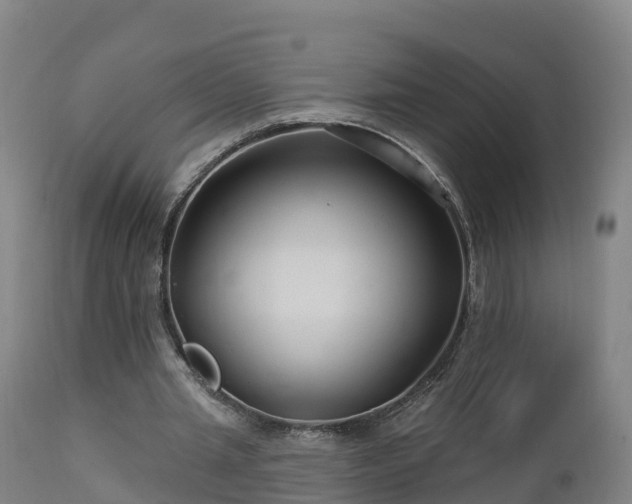 X0000112890437200908281704