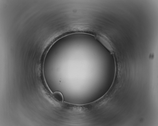 X0000112890439200908281705