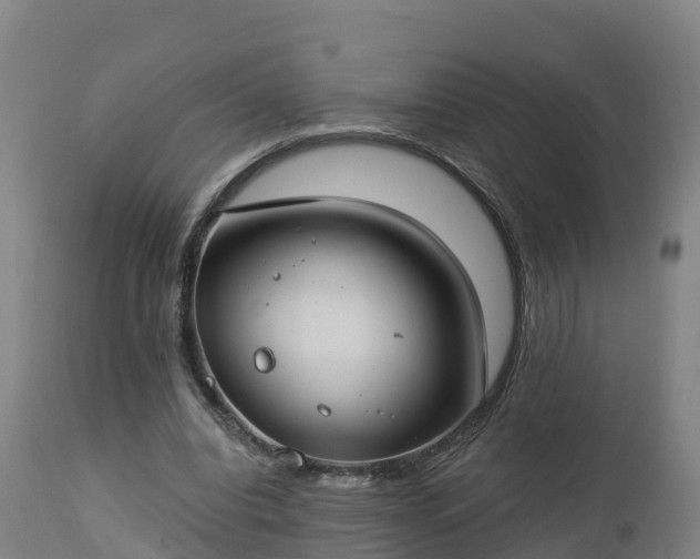X0000112890440200908281705