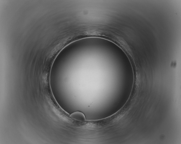 X0000112890441200908281705