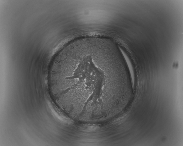 X0000112890443200908281705