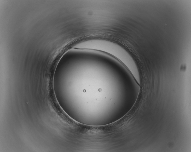X0000112890444200908281705