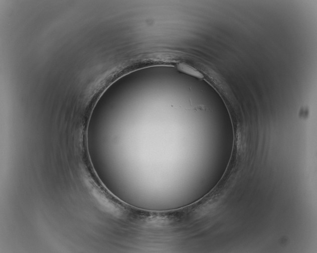 X0000112890445200908281705