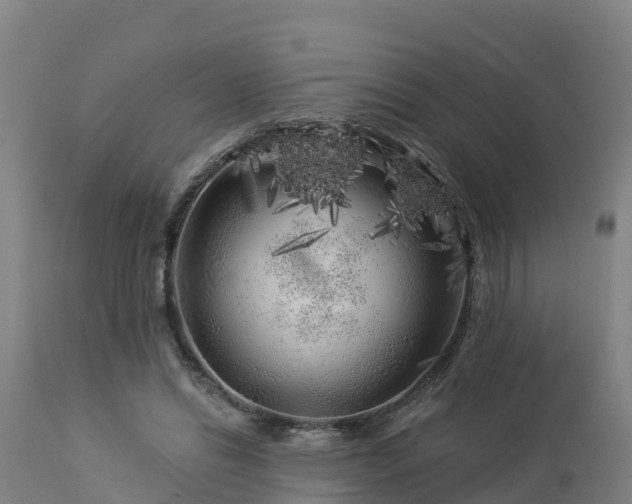 X0000112890446200908281705