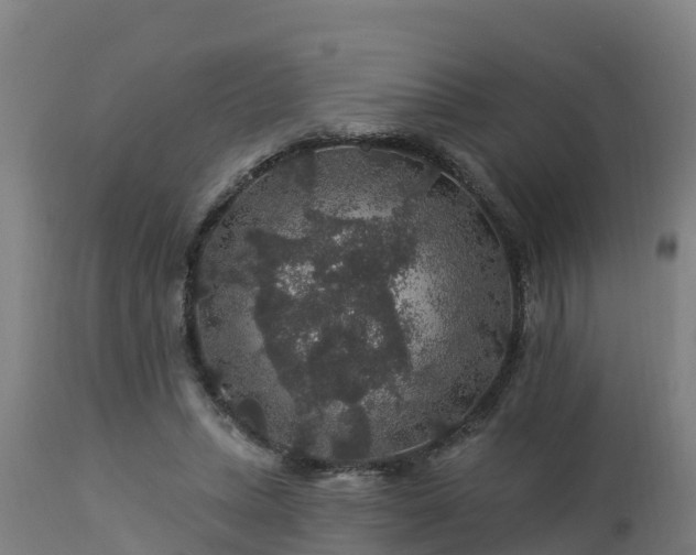 X0000112890447200908281705