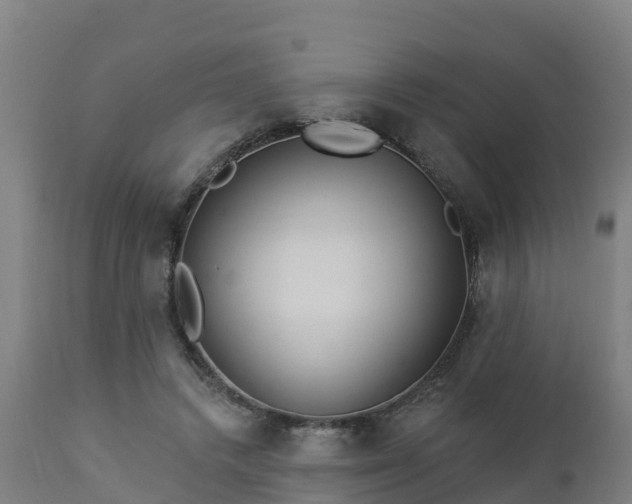X0000112890448200908281705
