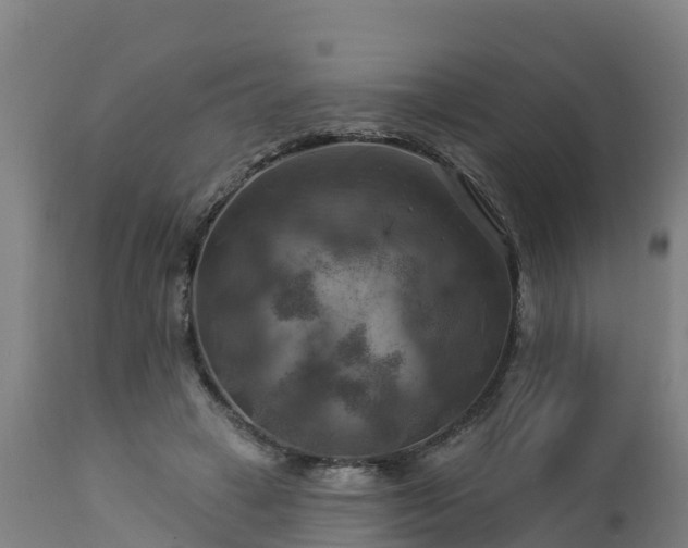 X0000112890449200908281705
