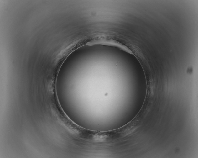 X0000112890450200908281705