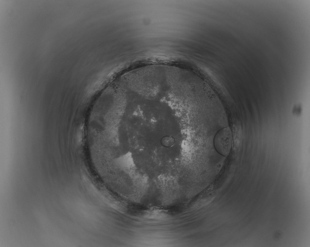 X0000112890451200908281705