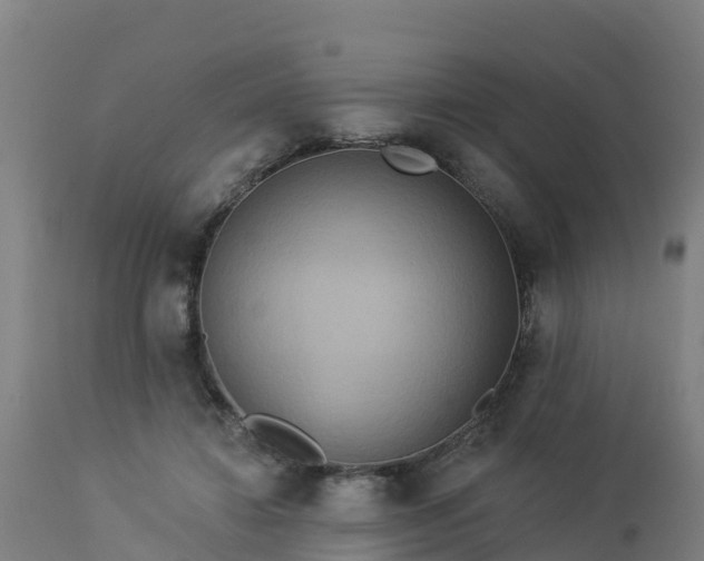 X0000112890452200908281705