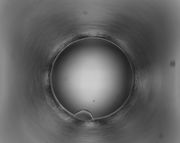 X0000112890453200908281705
