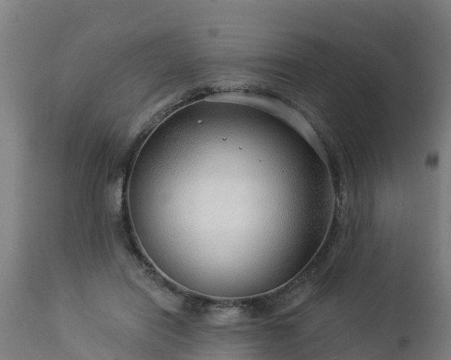 X0000112890454200908281705