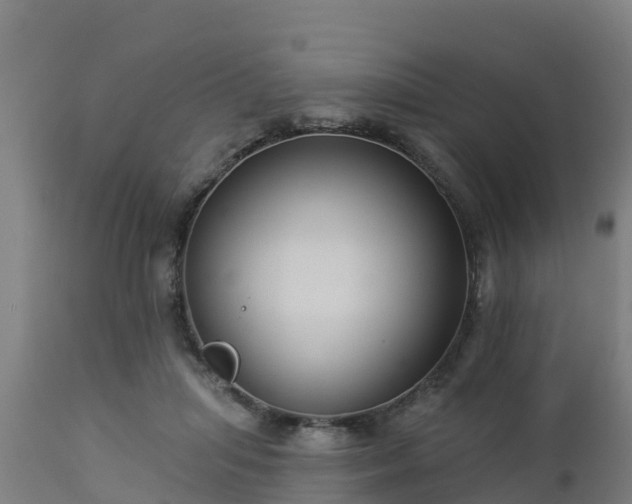 X0000112890455200908281705