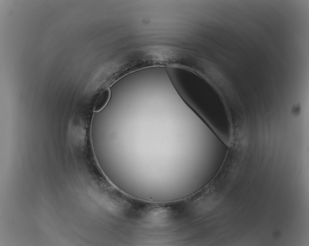 X0000112890456200908281705