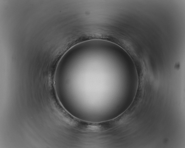 X0000112890457200908281705