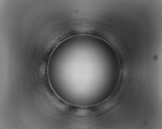 X0000112890458200908281705
