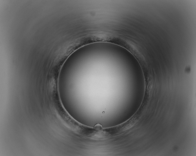 X0000112890459200908281705