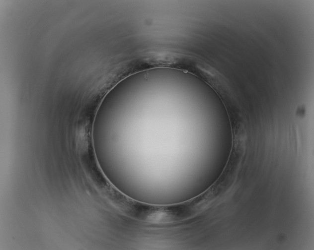 X0000112890460200908281705
