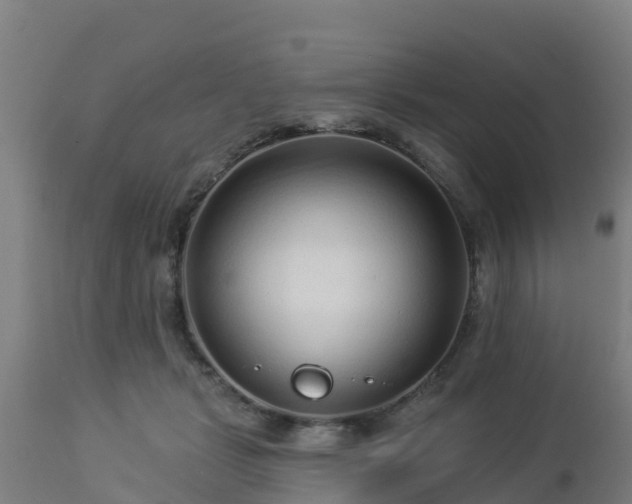 X0000112890461200908281705
