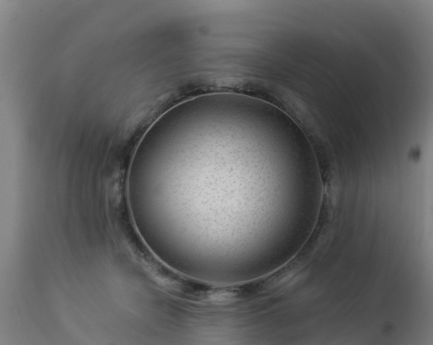X0000112890462200908281705