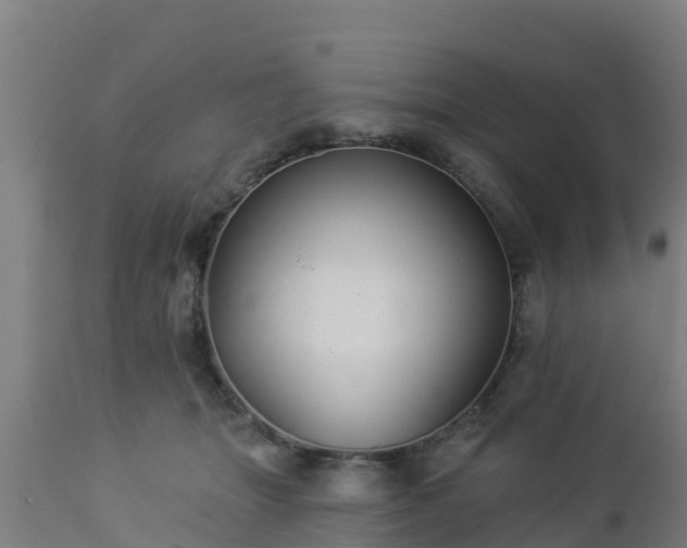 X0000112890463200908281705