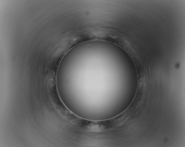 X0000112890464200908281705