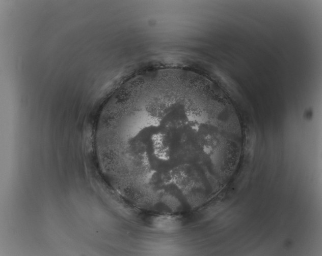 X0000112890465200908281705