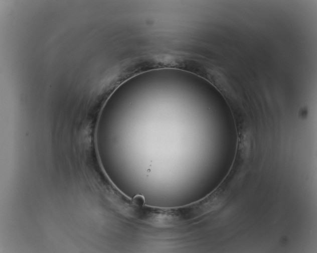 X0000112890466200908281705