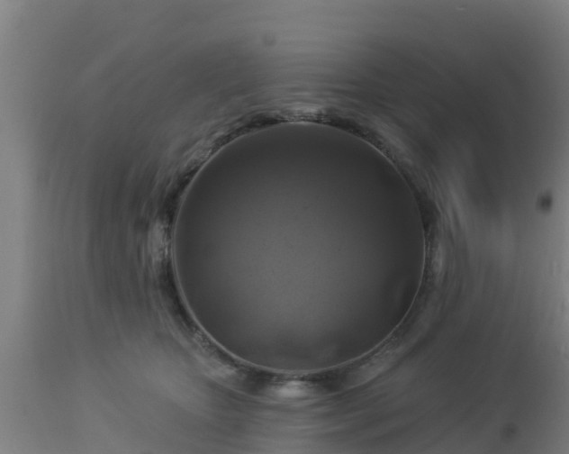 X0000112890467200908281705