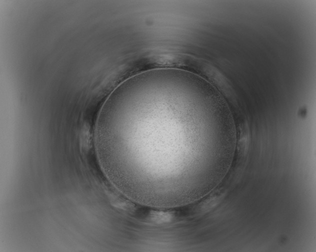 X0000112890469200908281705