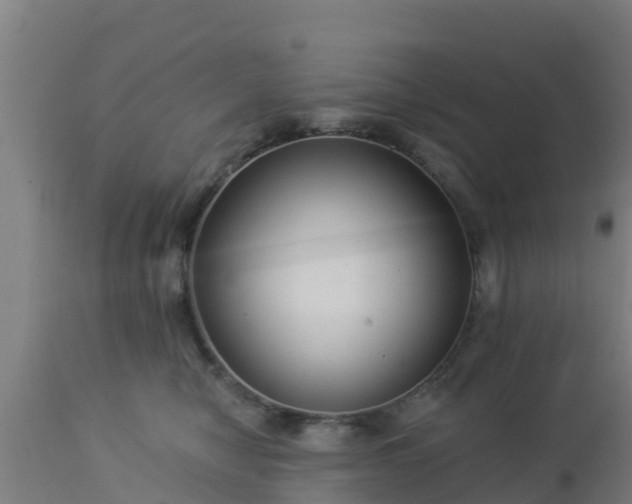 X0000112890470200908281705