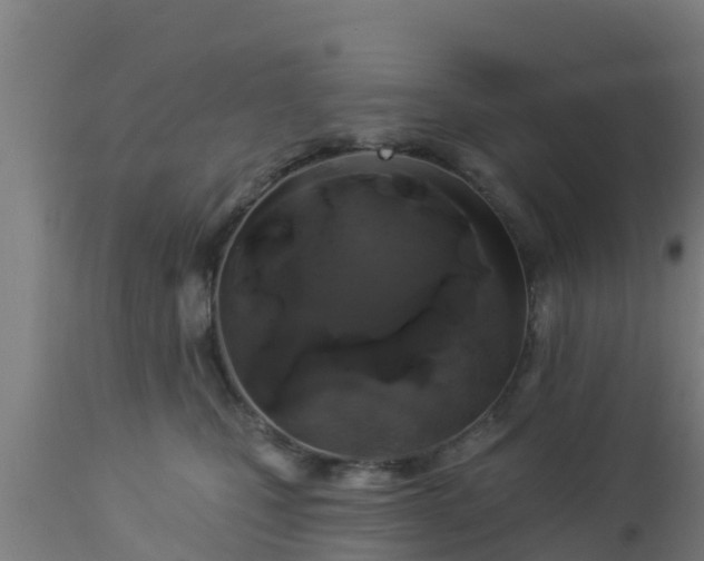 X0000112890471200908281705