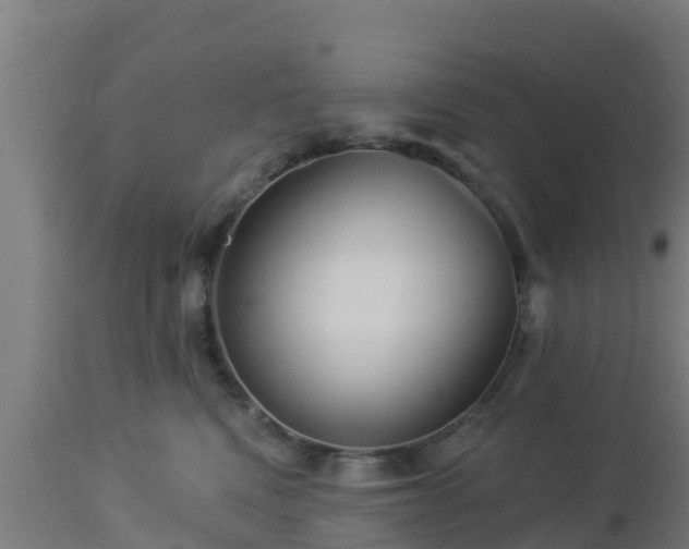 X0000112890472200908281705